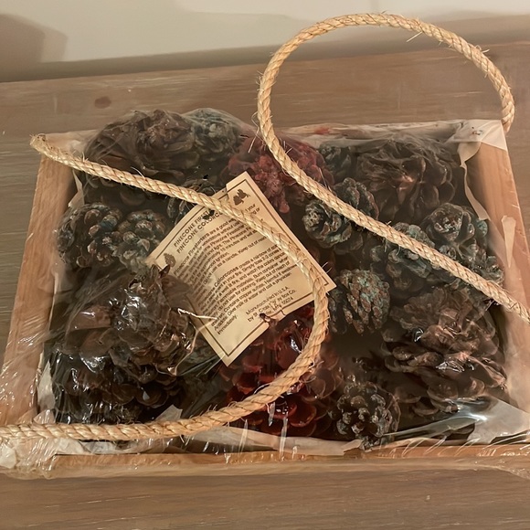 Pinecone fire starters - Picture 3 of 3